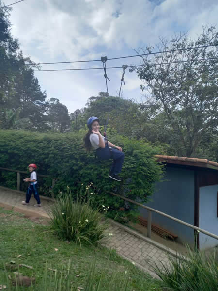 Bicho Mania 2022